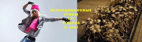 СК Лиски