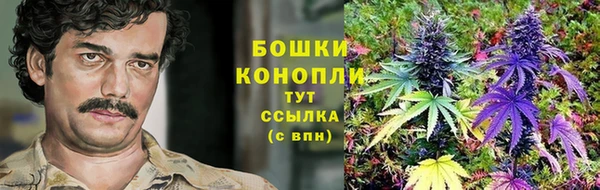 таблы Ряжск