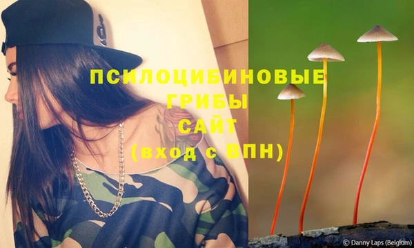 гашиш Саки