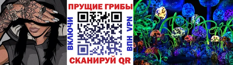 хочу   мега вход  Галлюциногенные грибы ЛСД  Удачный 